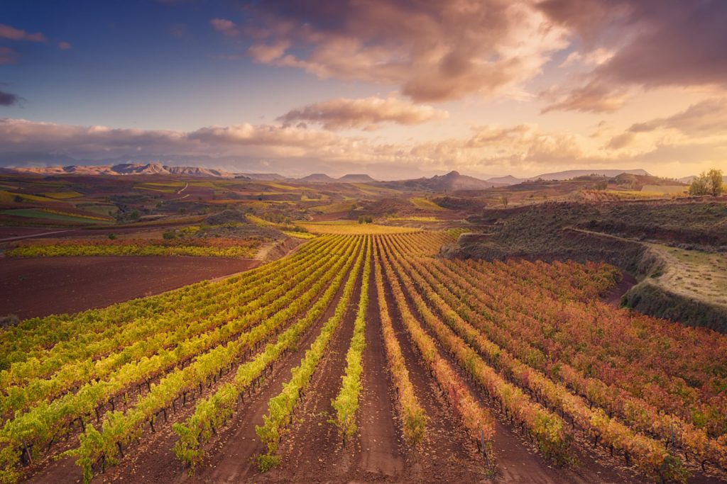Qué ver en La Rioja