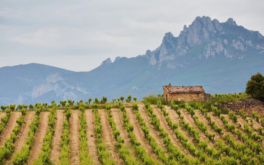 Fotografía en La Rioja de Enoturismo
