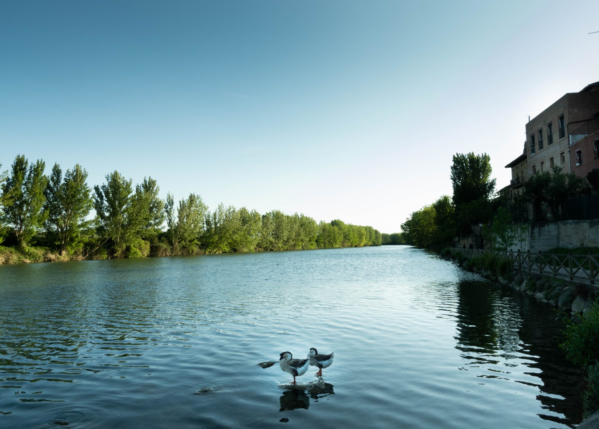 rio Ebro
