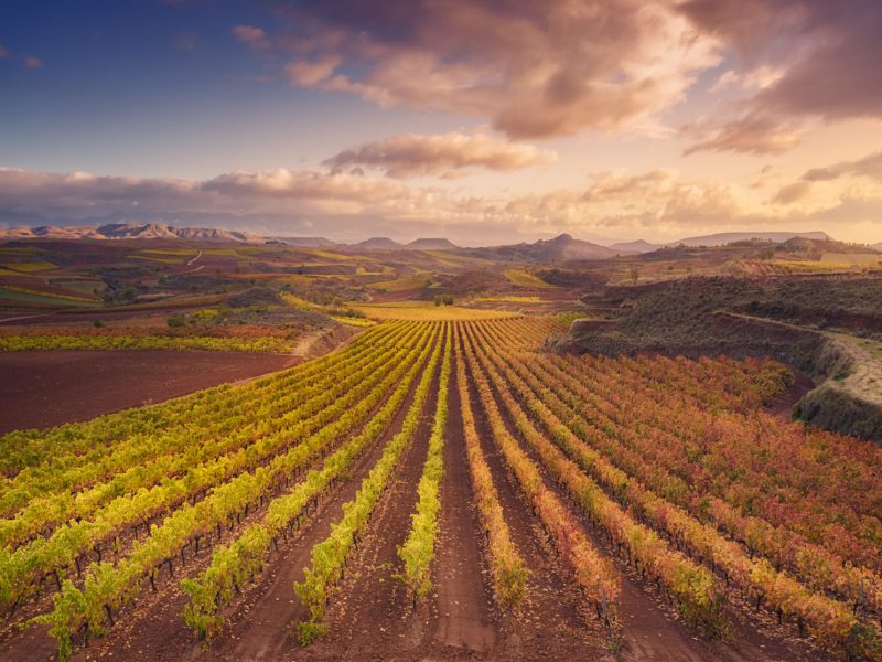 Qué ver en La Rioja