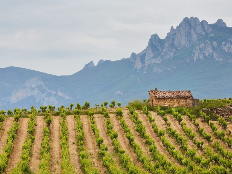 Fotografía en La Rioja de Enoturismo