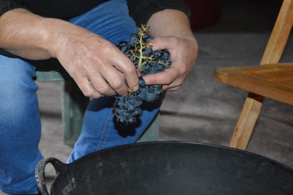 Bodegas Eguiluz